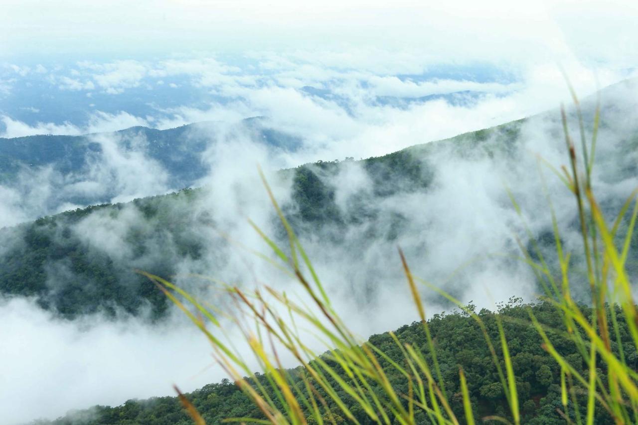 Misty Mountain Experience By Perfect Stays Pīrmed エクステリア 写真