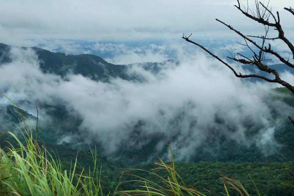 Misty Mountain Experience By Perfect Stays Pīrmed エクステリア 写真