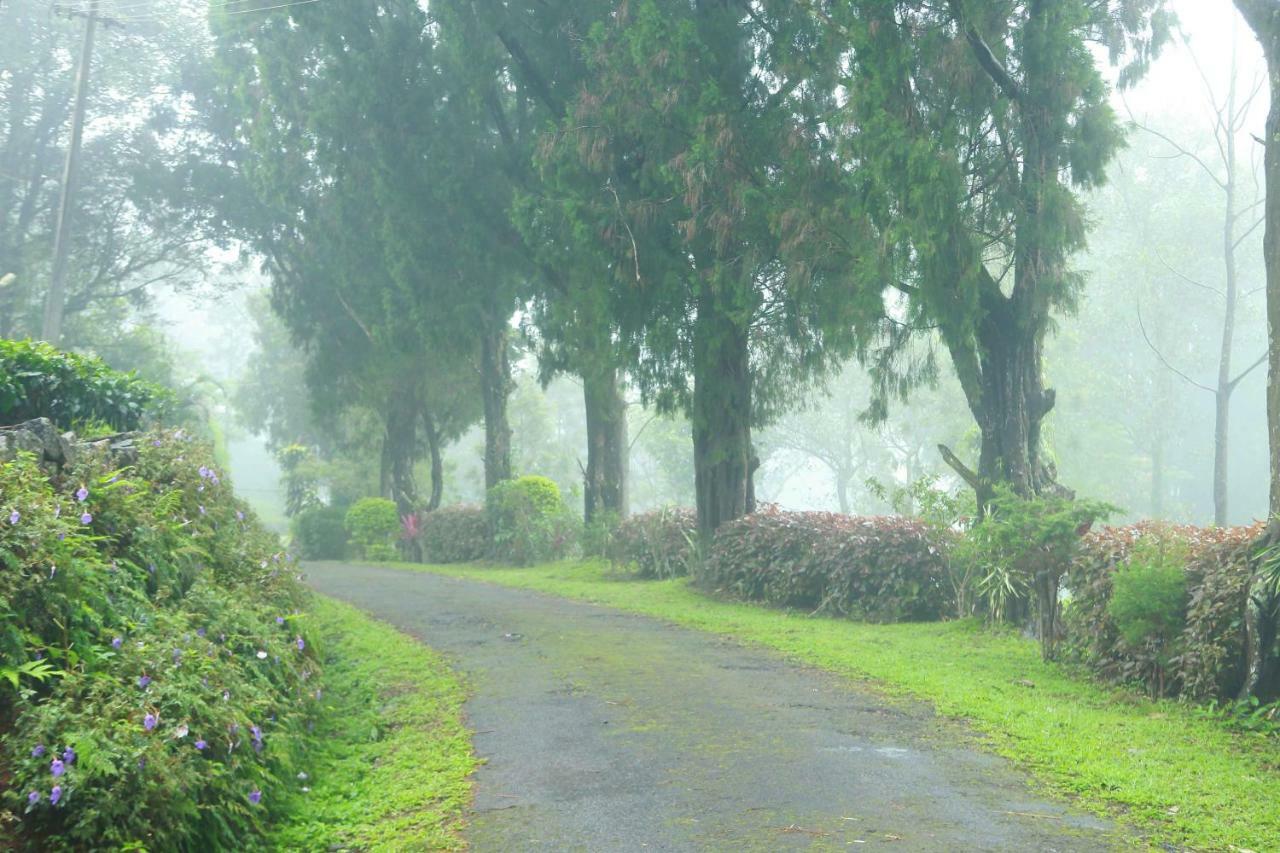 Misty Mountain Experience By Perfect Stays Pīrmed エクステリア 写真
