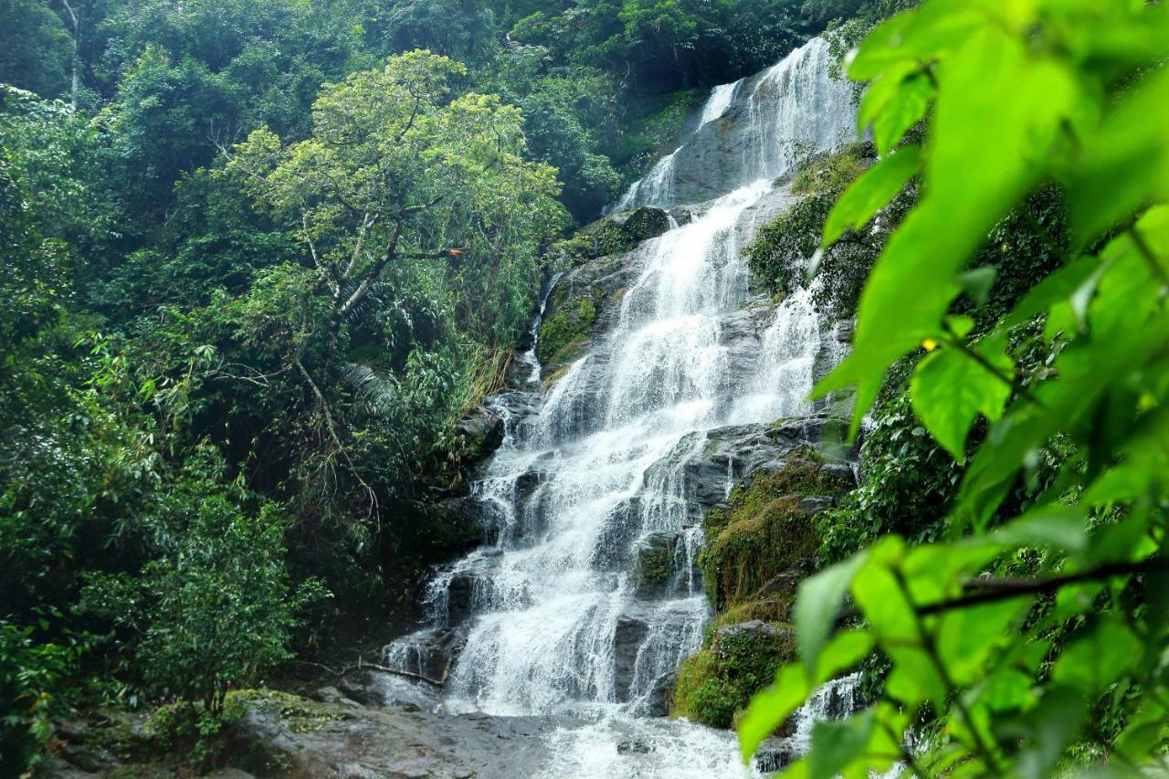Misty Mountain Experience By Perfect Stays Pīrmed エクステリア 写真